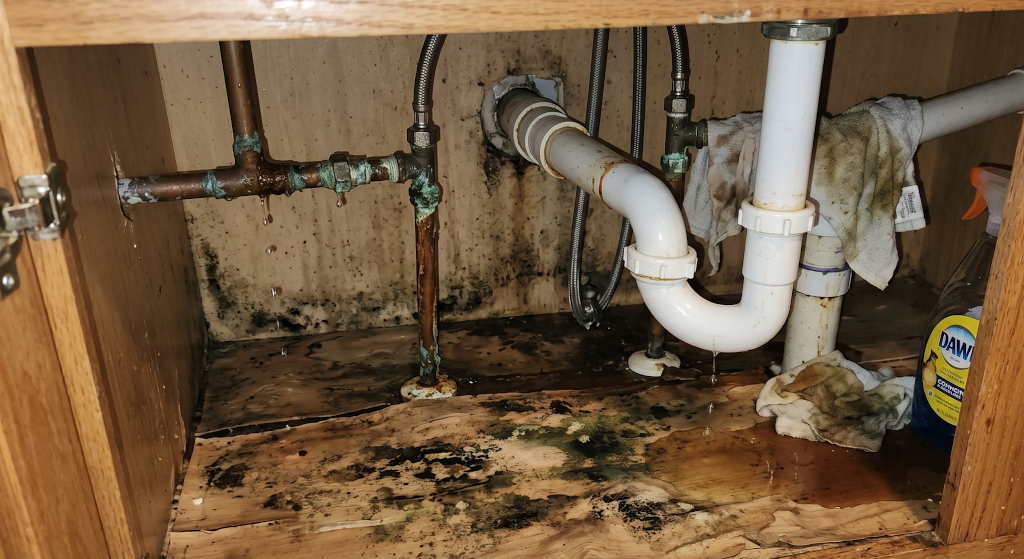 Signs of failing plumbing and water damage under a kitchen sink